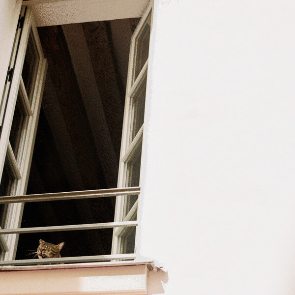 M(h)aol - Something Soft - LP