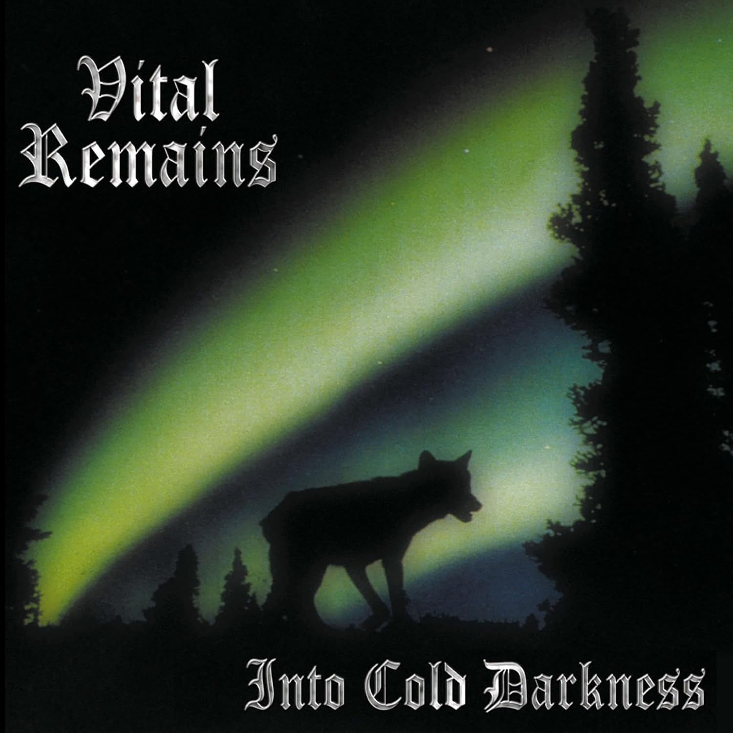 Vital Remains - Into Cold Darkness - CD