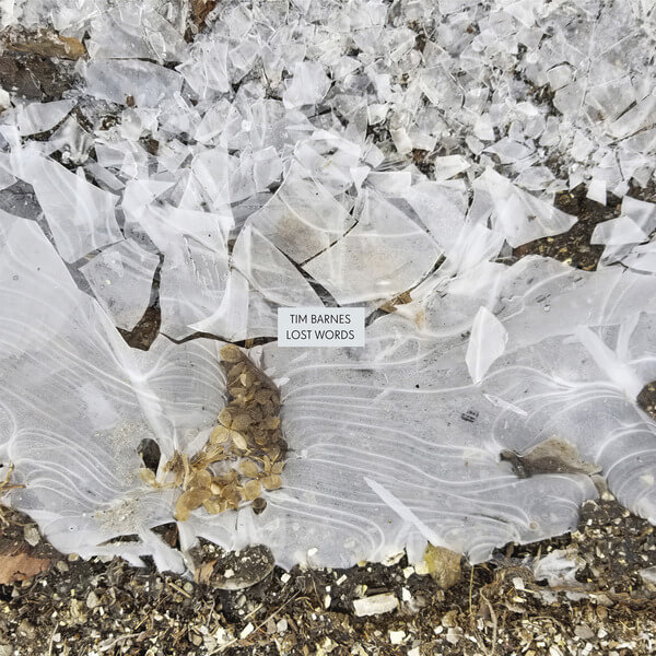 Tim Barnes - Lost Words - LP