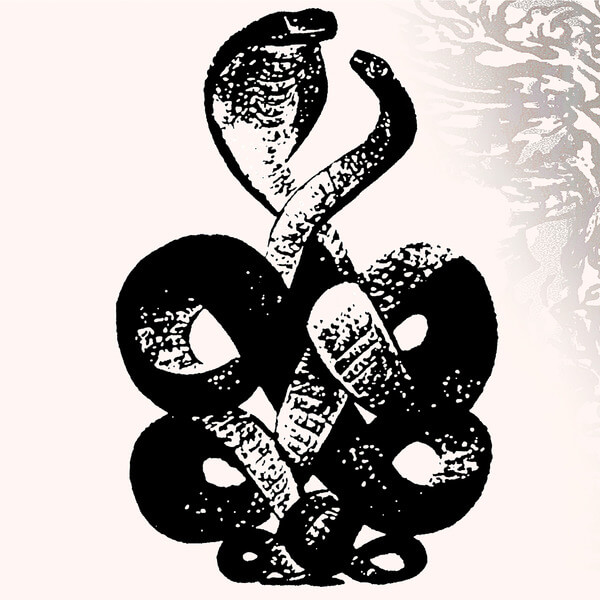 Bardo Pond - Volume 4 & 5 - 2LP