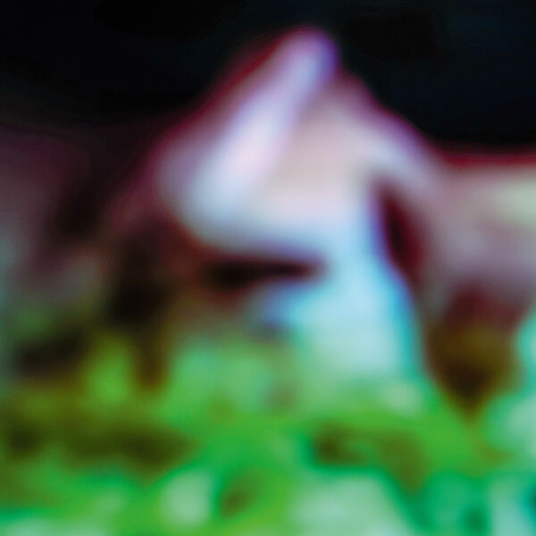 Hair & Treasure - Disc Rot - LP