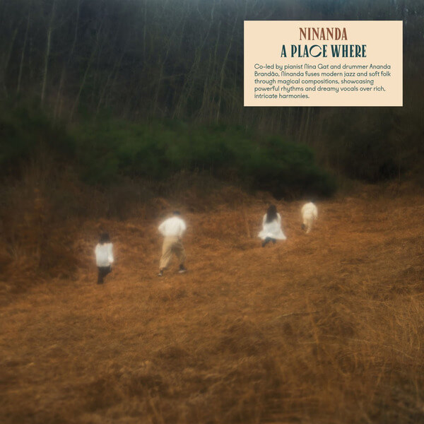 Ninanda - A Place Where - LP