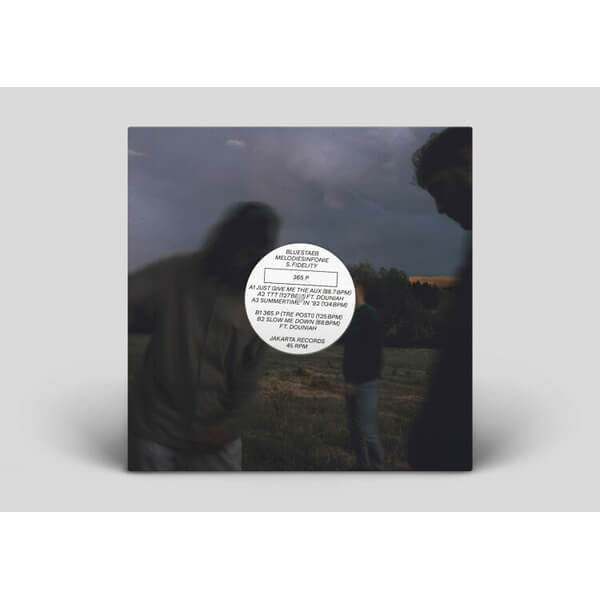 Bluestaeb, Melodiesinfonie & S. Fidelity - 365 P - LP