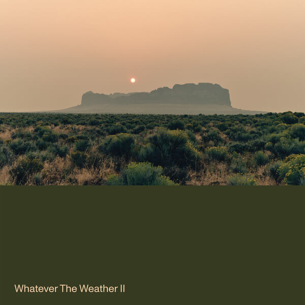 Whatever The Weather - Whatever the Weather II - LP