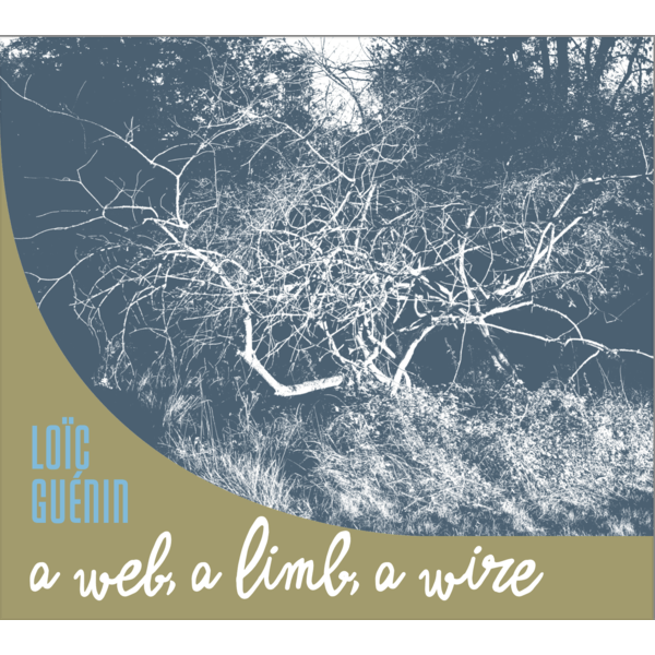 Loic Guenin - A Web a Limb a Wire - CD