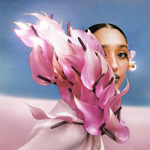 Raveena - Where the Butterflies Go in the Rain - 2LP