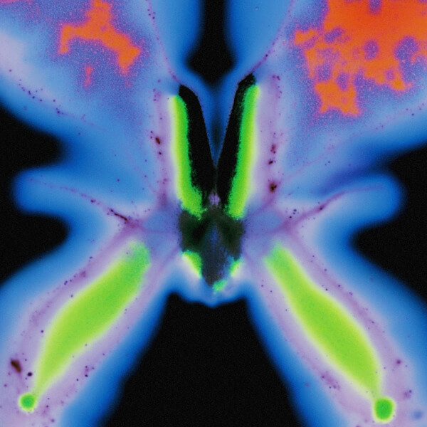 Jorg Kuning - Elvers Pass - LP