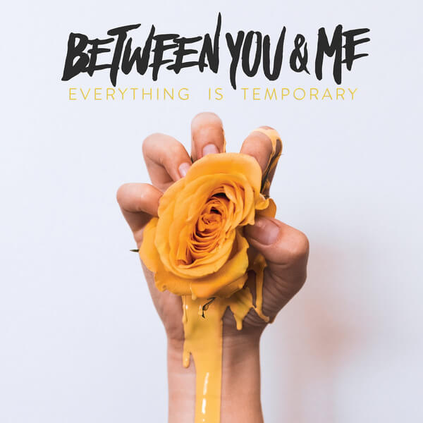 Between You & Me - Everything Is Temporary - LP