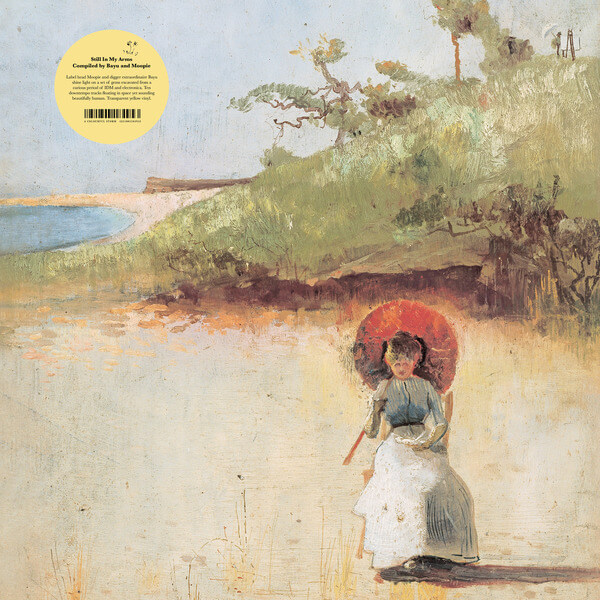 VA - Still In My Arms: Compiled by Bayu and Moopie 2025 - LP