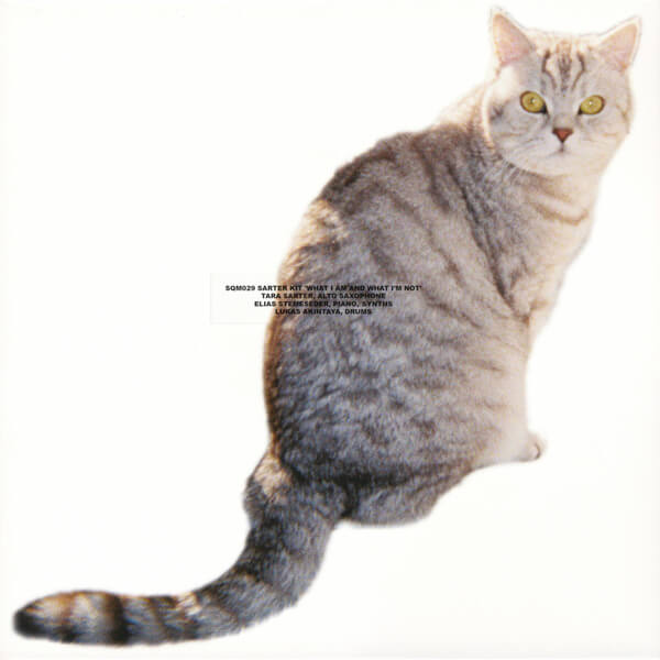 Sarter Kit - What I Am And What I'm Not - LP