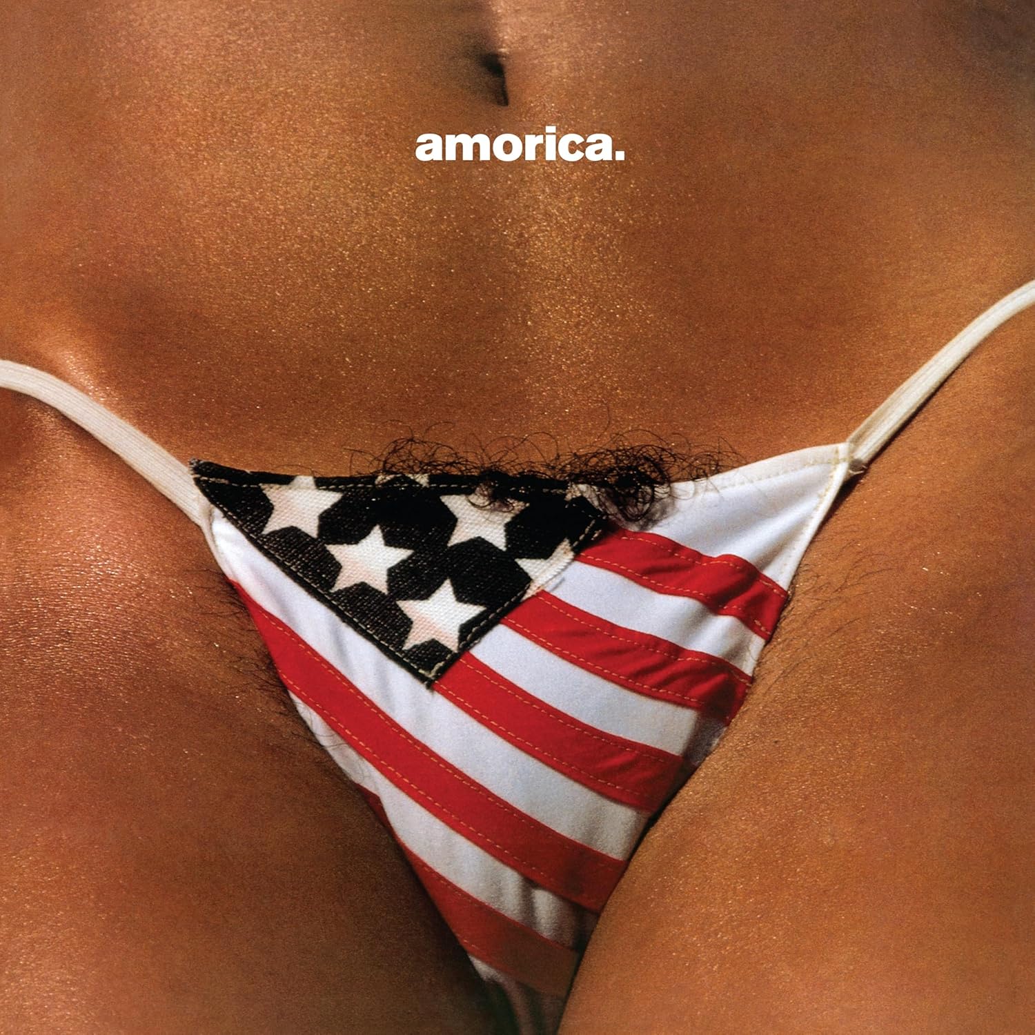 The Black Crowes - Amorica - Vinyl LP