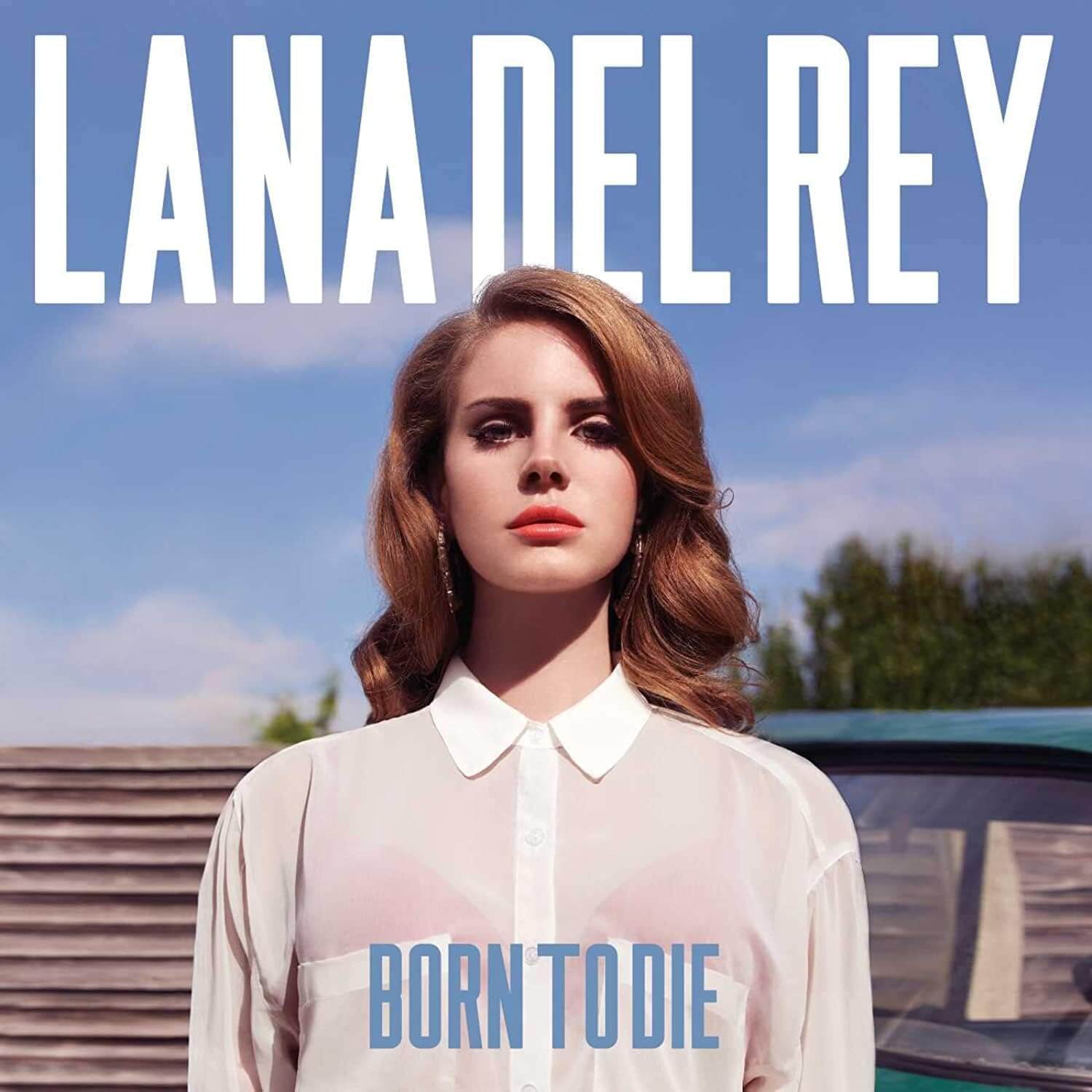 Lana Del Rey - Born To Die - Vinyl LP