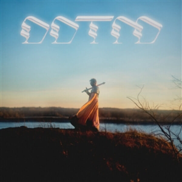 Foxing - Draw Down The Moon - LP