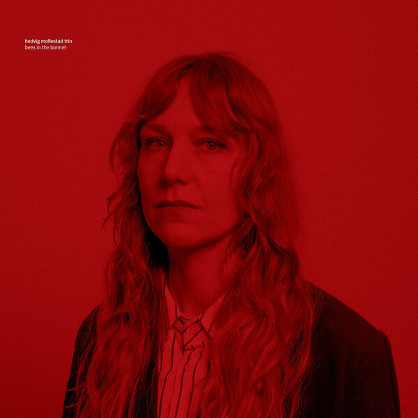 Hedvig Mollestad Trio - Bees In The Bonnet - CD