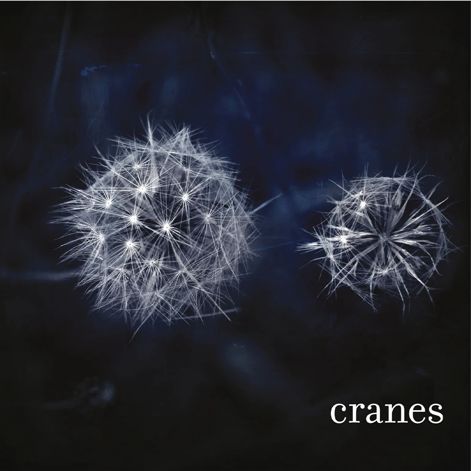 Cranes - Cranes - Vinyl LP