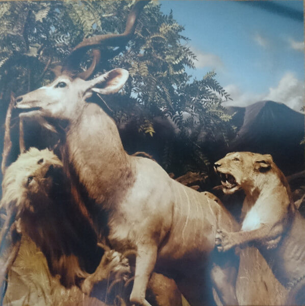 Interpol - Our love to admire - CD