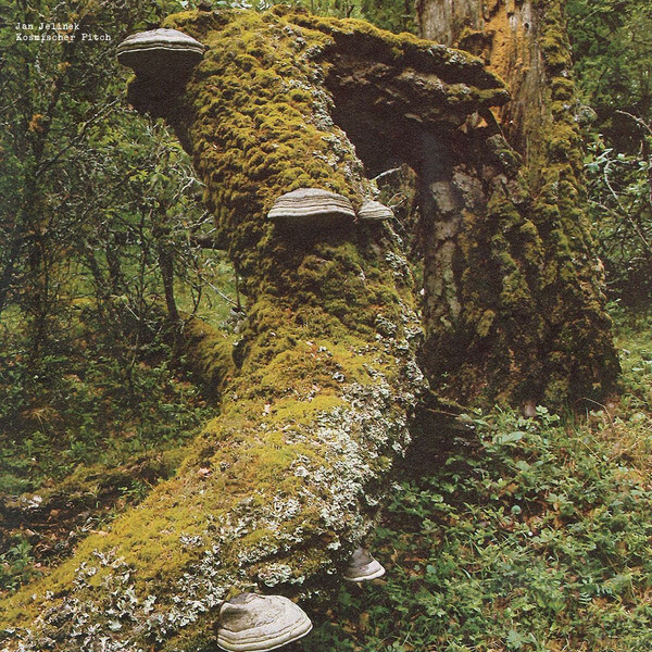 Jan Jelinek - Kosmischer Pitch - LP