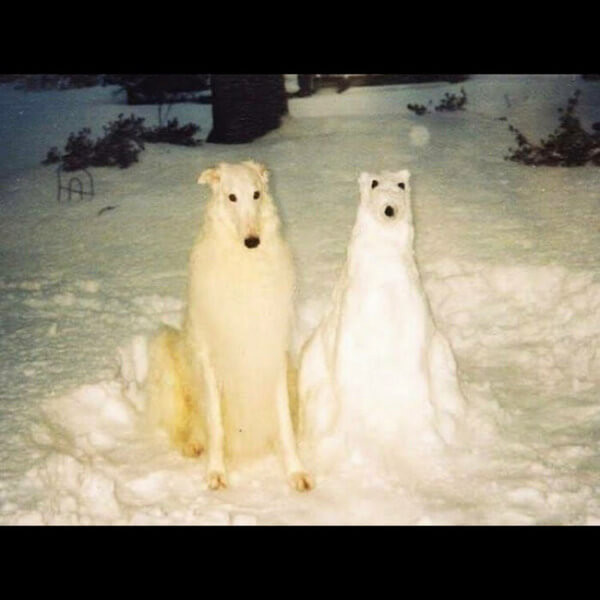 Birth Day - Boyhood - LP