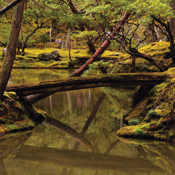 Rebecca Foon & Aliayta Foon-Dancoes - Reverie - LP