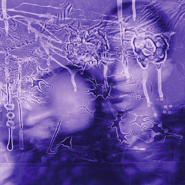 Sirens Of Lesbos - I Got A Song, It’s Gonna Make Us Millions - LP