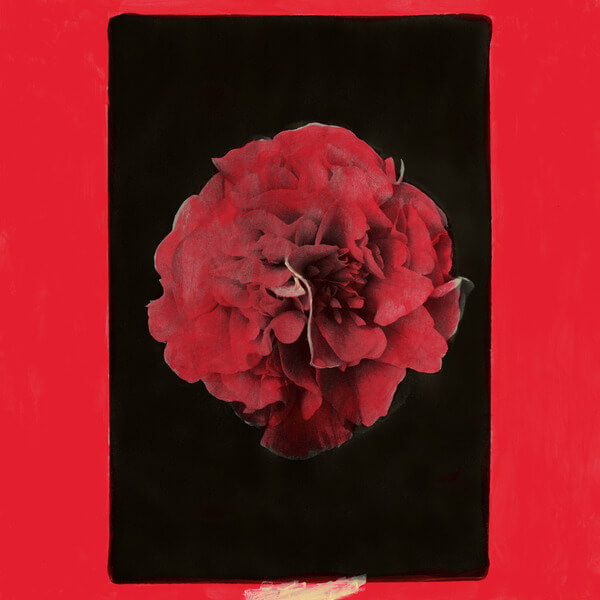 Activity - A Thousand Years In Another Way - LP