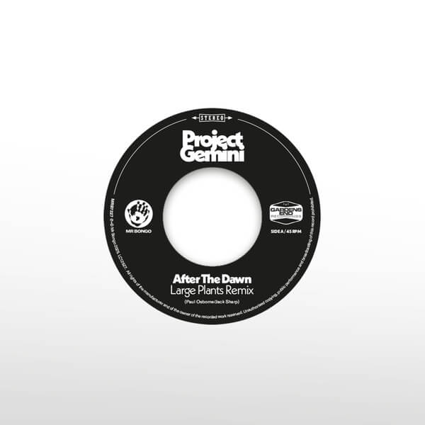 Project Gemini - After The Dawn(Large Plants Remix) / Darkness Rising - 7"