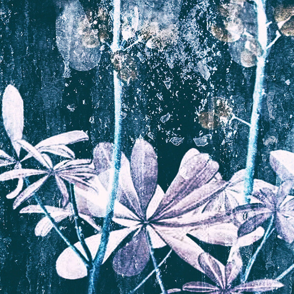 Pan Thorarensen - Ljostilliifun - LP