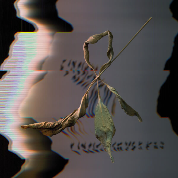 T. Gowdy - Trill Scan - LP