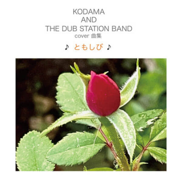 Kodama & The Dub Station Band - Tomoshibi - 2LP