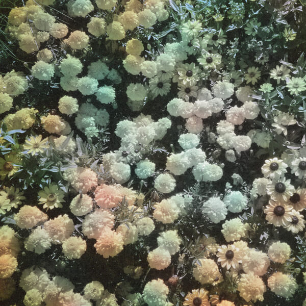 Scrase - Heart - 12"