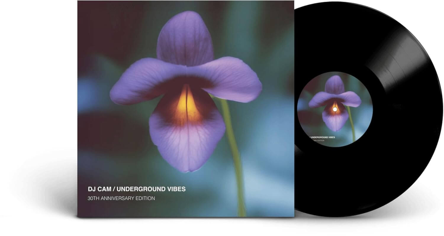 DJ Cam - Underground Vibes - Vinyl LP