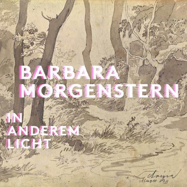 Barbara Morgenstern - In Anderem Licht - Vinyl LP