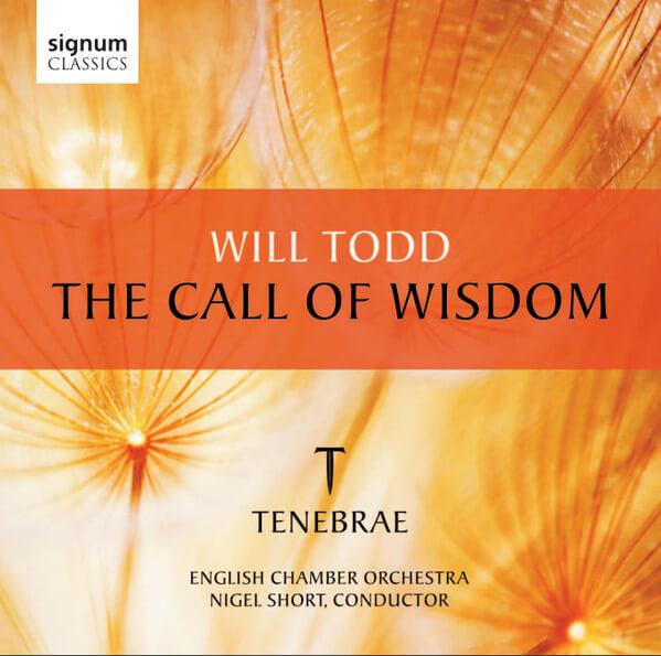 W. Todd - Call Of Wisdom - CD