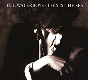 Waterboys - This Is The Sea - CD
