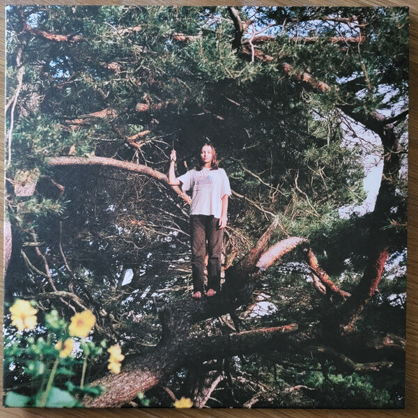 Packs - Melt The Honey - Vinyl LP