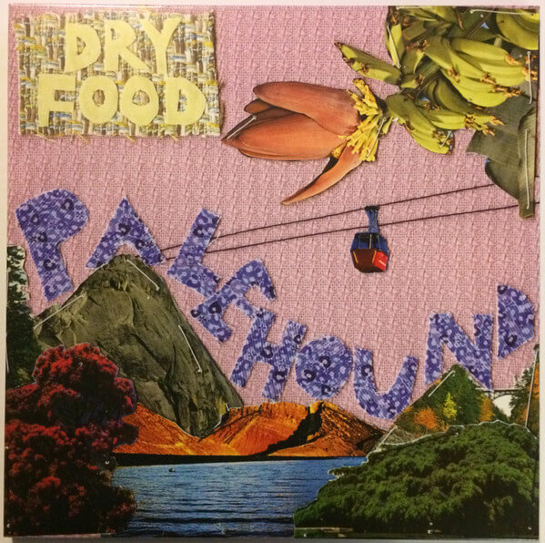 Palehound - Dry Food - Vinyl LP