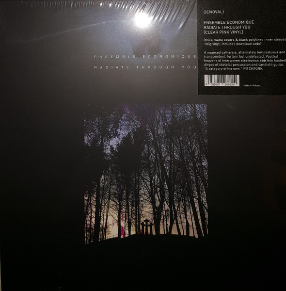 Ensemble Economique - Radiate Through You - Vinyl LP