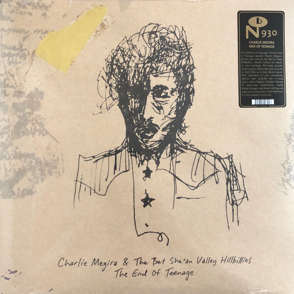 Charlie Megira - End Of Teenage - Vinyl LP