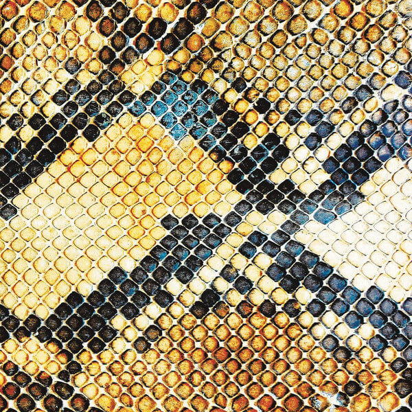 Amazing Snakeheads - Amphetamine Ballads - CD