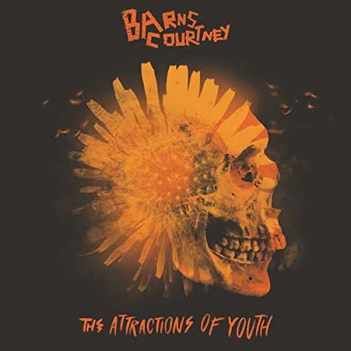 Barns Courtney - The Attractions Of Youth - CD