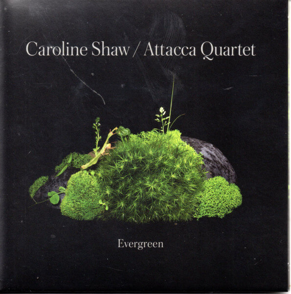Shaw & Attacca Qua... - Evergreen - CD