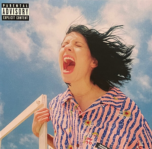 K.flay - Inside Voices / Outside Voices - Vinyl LP