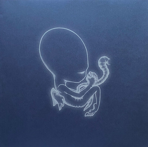 Sigur Ros - Agaetis Byrjun - Vinyl LP