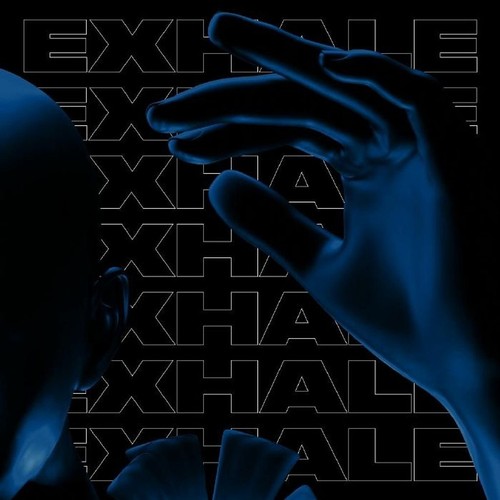 Various - Exhale Va004 (part 3) - Vinyl LP