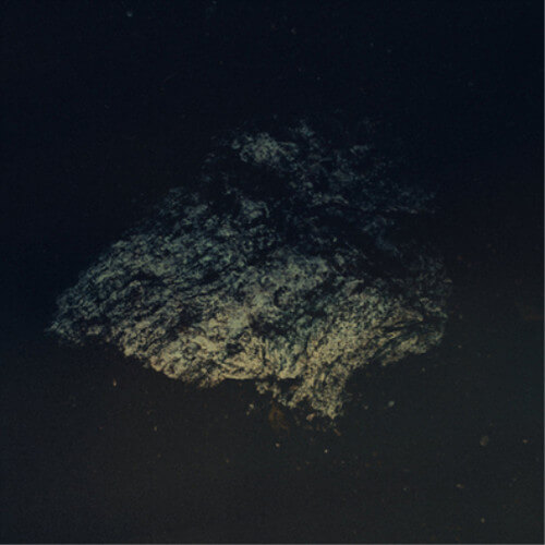 Multicast Dynamics - Lost World - CD