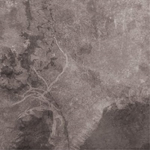 Multicast Dynamics - Scandinavia - CD