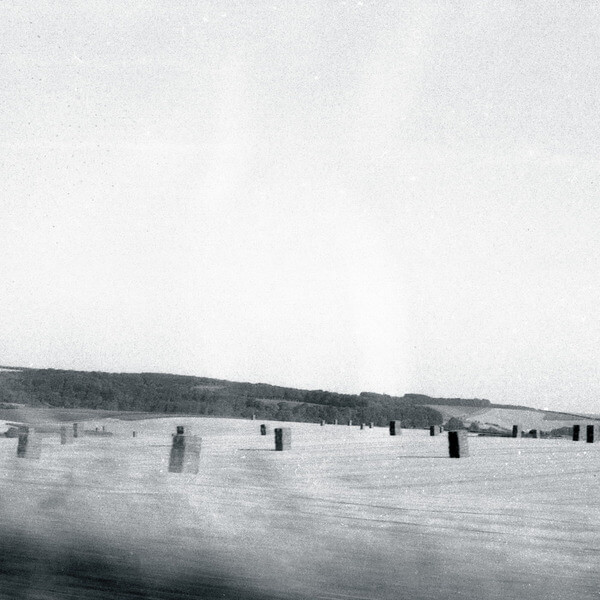drone - feral - CD