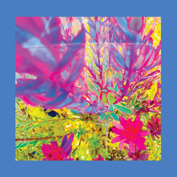 The Reds Pinks and Purples - The Past is a Garden I Never Fed - CD