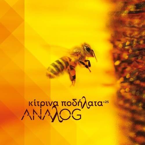 Κίτρινα Ποδήλατα - Anaλog - Vinyl LP