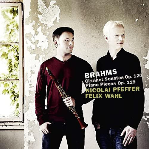 Boston Symphony Orches... - Clarinet & Piano Op.119 & 120 - CD